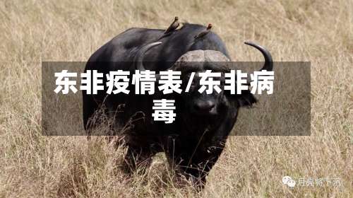 东非疫情表/东非病毒-第2张图片