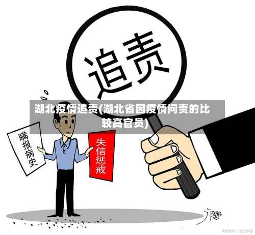 湖北疫情追责(湖北省因疫情问责的比较高官员)-第2张图片