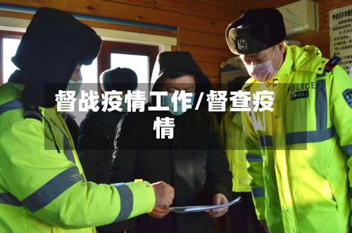 督战疫情工作/督查疫情-第2张图片