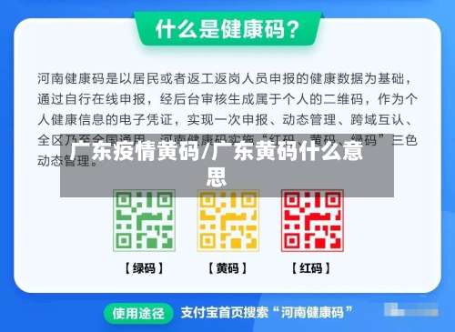 广东疫情黄码/广东黄码什么意思-第2张图片