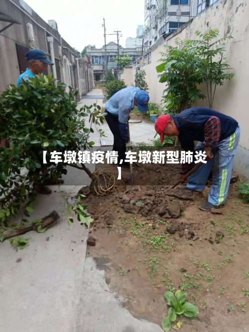 【车墩镇疫情,车墩新型肺炎】-第2张图片