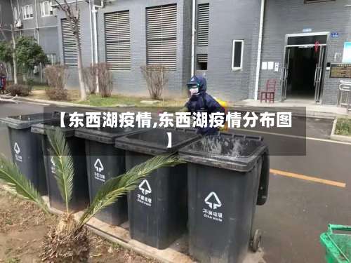 【东西湖疫情,东西湖疫情分布图】-第2张图片
