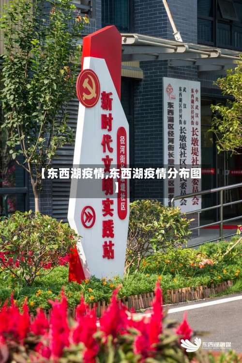 【东西湖疫情,东西湖疫情分布图】