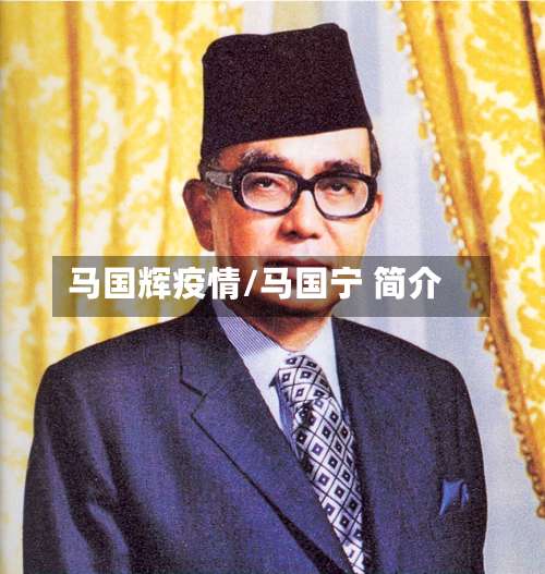 马国辉疫情/马国宁 简介