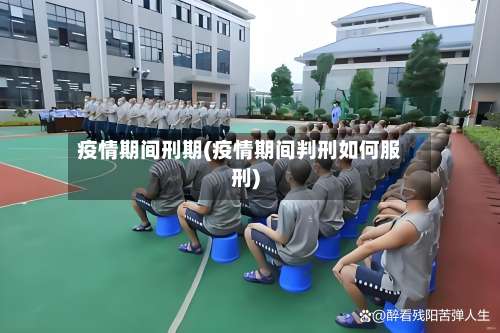 疫情期间刑期(疫情期间判刑如何服刑)-第2张图片
