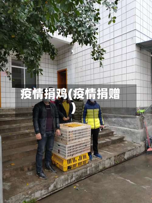 疫情捐鸡(疫情捐赠)-第2张图片