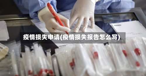 疫情损失申请(疫情损失报告怎么写)