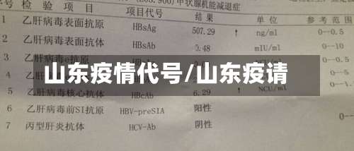 山东疫情代号/山东疫请