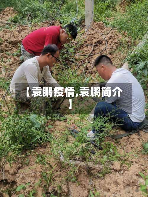 【袁鹏疫情,袁鹏简介】-第2张图片