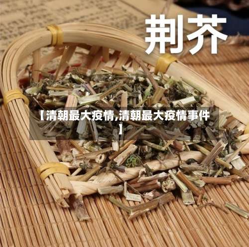 【清朝最大疫情,清朝最大疫情事件】