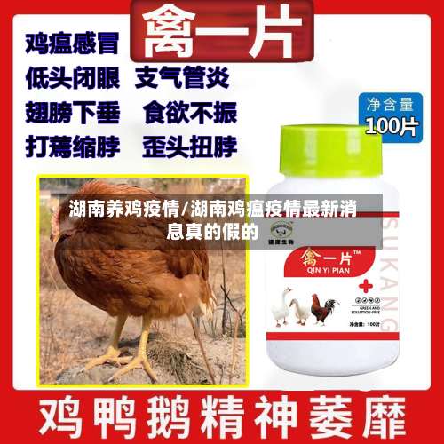 湖南养鸡疫情/湖南鸡瘟疫情最新消息真的假的