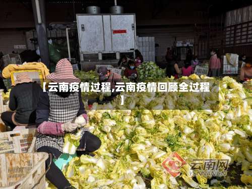【云南疫情过程,云南疫情回顾全过程】