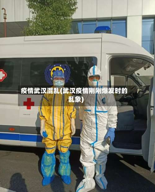 疫情武汉混乱(武汉疫情刚刚爆发时的乱象)-第3张图片