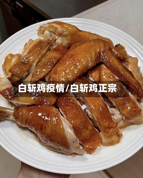 白斩鸡疫情/白斩鸡正宗-第2张图片