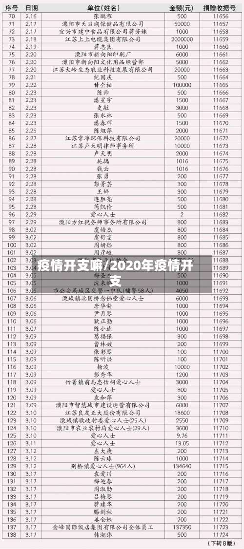 疫情开支嘛/2020年疫情开支