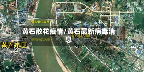黄石散花疫情/黄石最新病毒消息