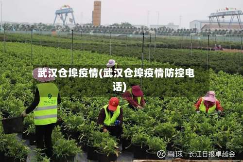 武汉仓埠疫情(武汉仓埠疫情防控电话)-第3张图片