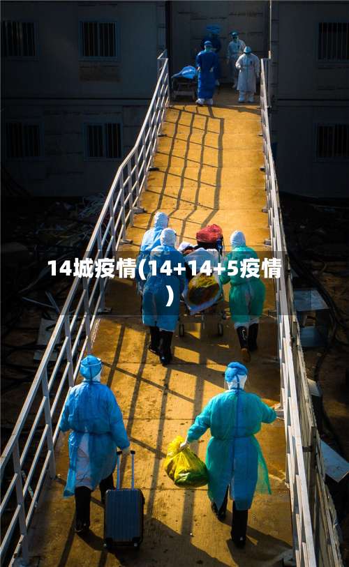 14城疫情(14+14+5疫情)
