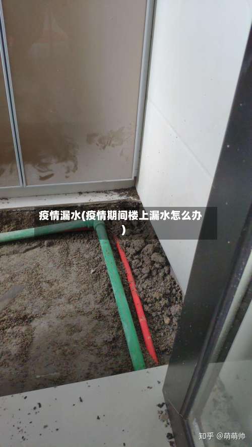 疫情漏水(疫情期间楼上漏水怎么办)