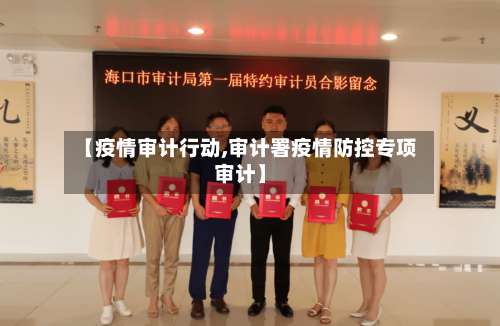 【疫情审计行动,审计署疫情防控专项审计】