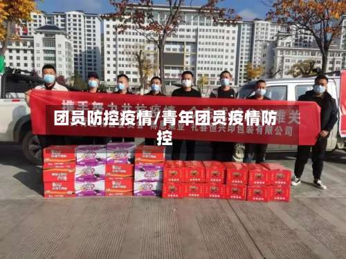 团员防控疫情/青年团员疫情防控