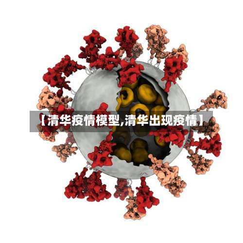 【清华疫情模型,清华出现疫情】-第2张图片