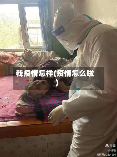 我疫情怎样(疫情怎么啦)-第2张图片