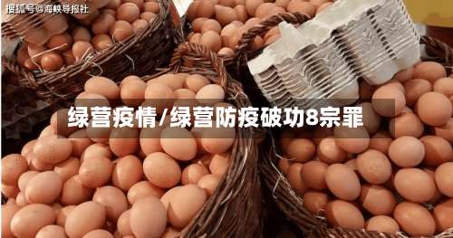 绿营疫情/绿营防疫破功8宗罪-第2张图片