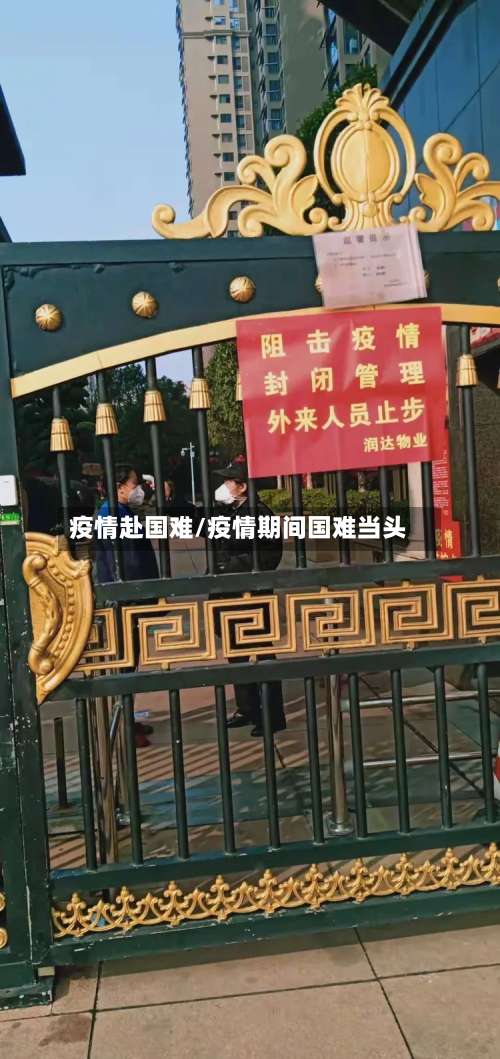疫情赴国难/疫情期间国难当头-第2张图片