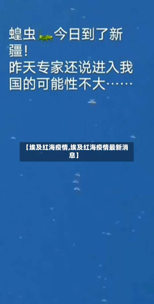 【埃及红海疫情,埃及红海疫情最新消息】-第3张图片
