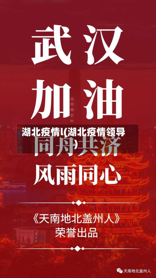 湖北疫情l(湖北疫情领导)