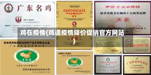 鸡在疫情(鸡遇疫情降价促销官方网站)-第2张图片