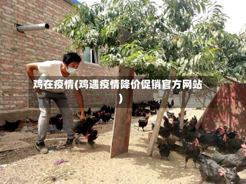 鸡在疫情(鸡遇疫情降价促销官方网站)