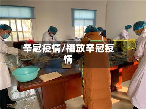 辛冠疫情/播放辛冠疫情-第2张图片