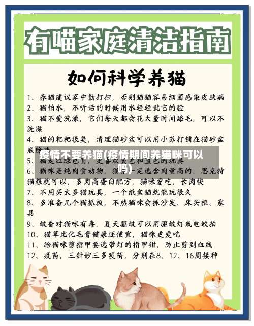 疫情不要养猫(疫情期间养猫咪可以吗)