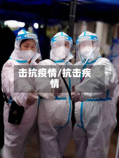 击抗疫情/抗击疾情-第2张图片