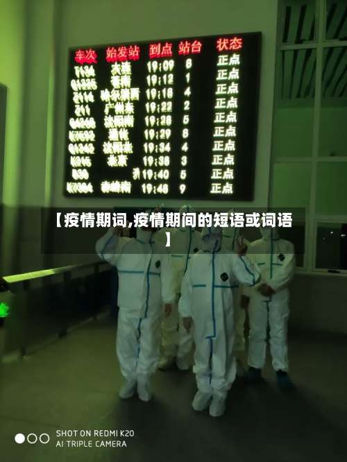 【疫情期词,疫情期间的短语或词语】