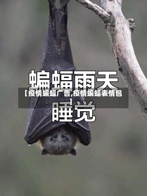 【疫情蝙蝠广告,疫情蝙蝠表情包】-第2张图片