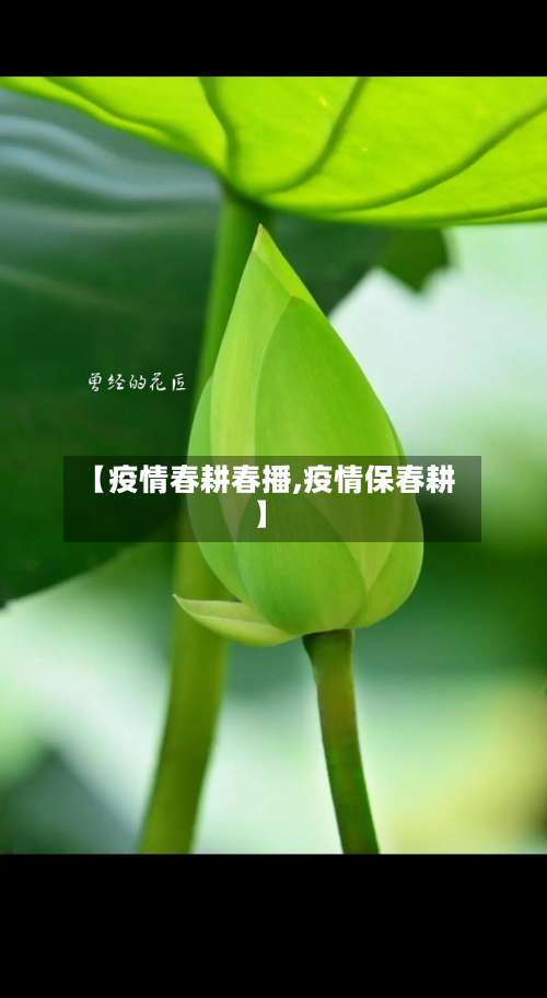 【疫情春耕春播,疫情保春耕】-第2张图片