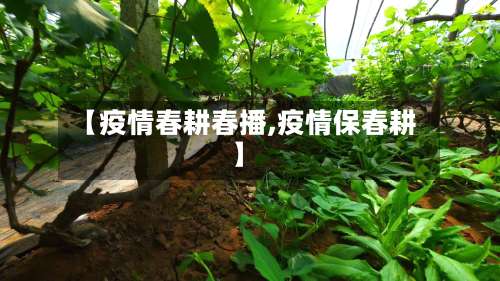 【疫情春耕春播,疫情保春耕】