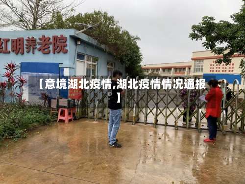 【意境湖北疫情,湖北疫情情况通报】