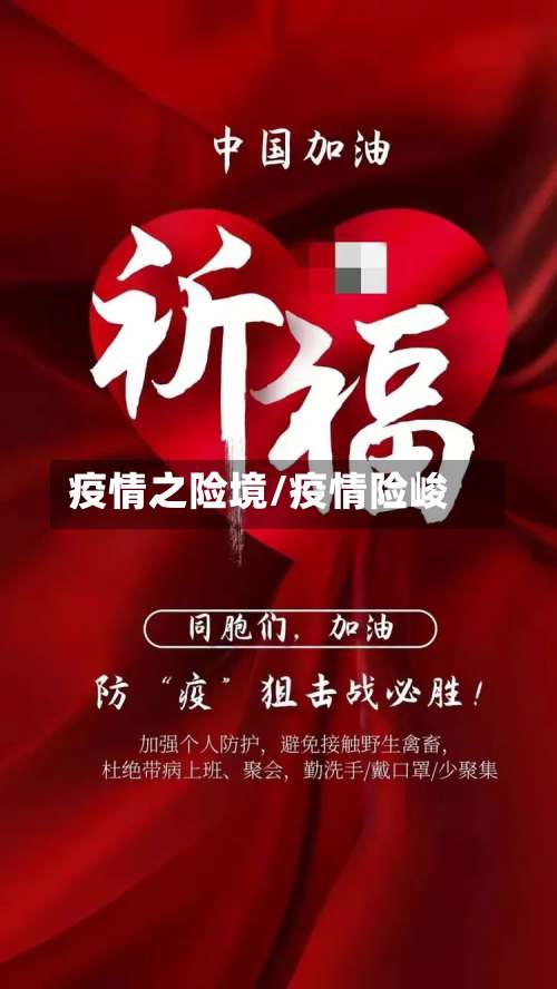 疫情之险境/疫情险峻-第2张图片