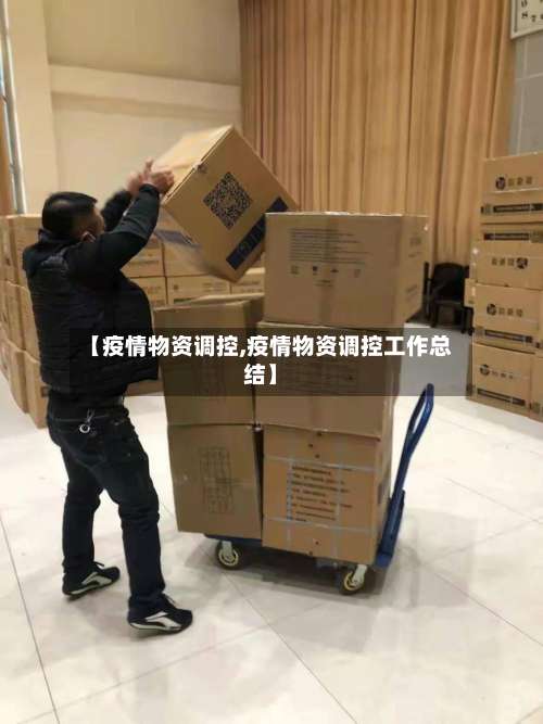【疫情物资调控,疫情物资调控工作总结】