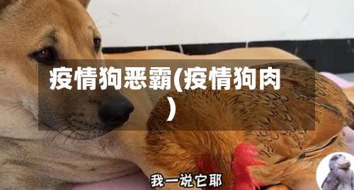疫情狗恶霸(疫情狗肉)