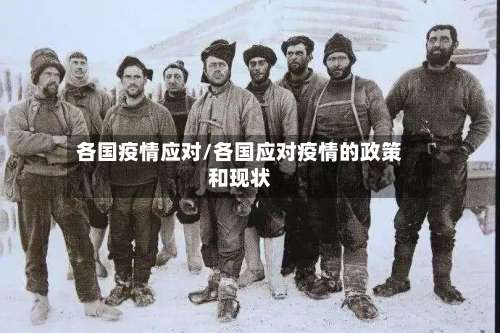 各国疫情应对/各国应对疫情的政策和现状