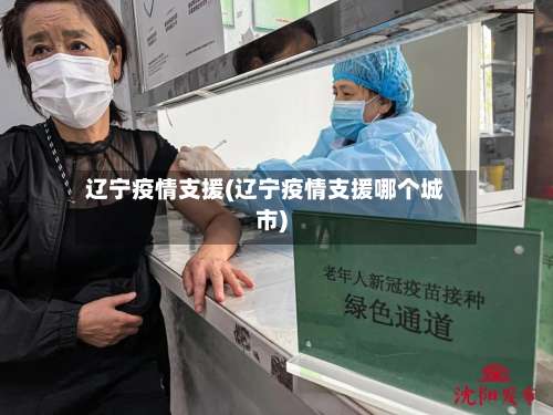 辽宁疫情支援(辽宁疫情支援哪个城市)