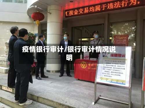 疫情银行审计/银行审计情况说明