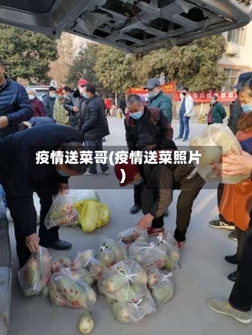 疫情送菜哥(疫情送菜照片)