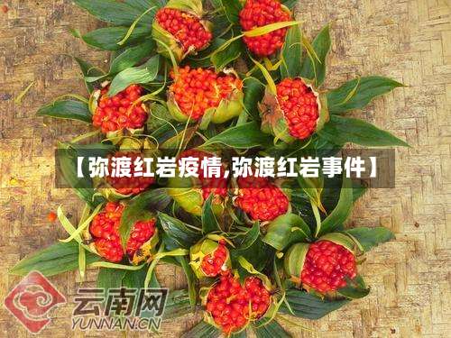 【弥渡红岩疫情,弥渡红岩事件】-第2张图片
