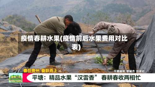 疫情春耕水果(疫情前后水果费用对比表)-第2张图片